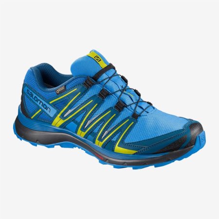 Salomon XA LITE GTX Erkek Koşu Ayakkabısı Mavi TR K5G3